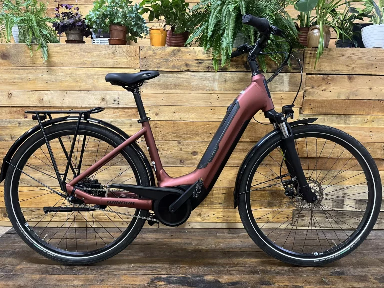 Winora Tria N8F Eco