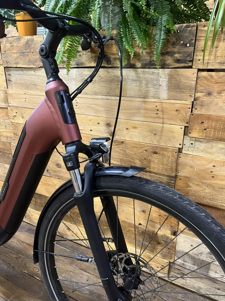 Winora Tria N8F Eco